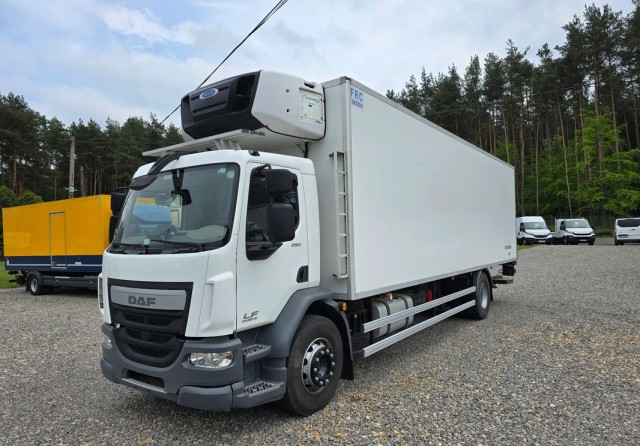 daf